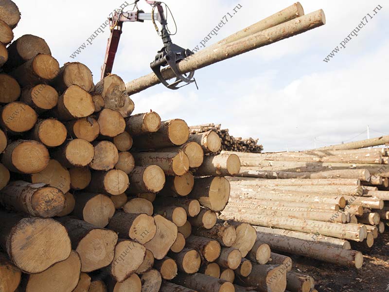 Logging logging